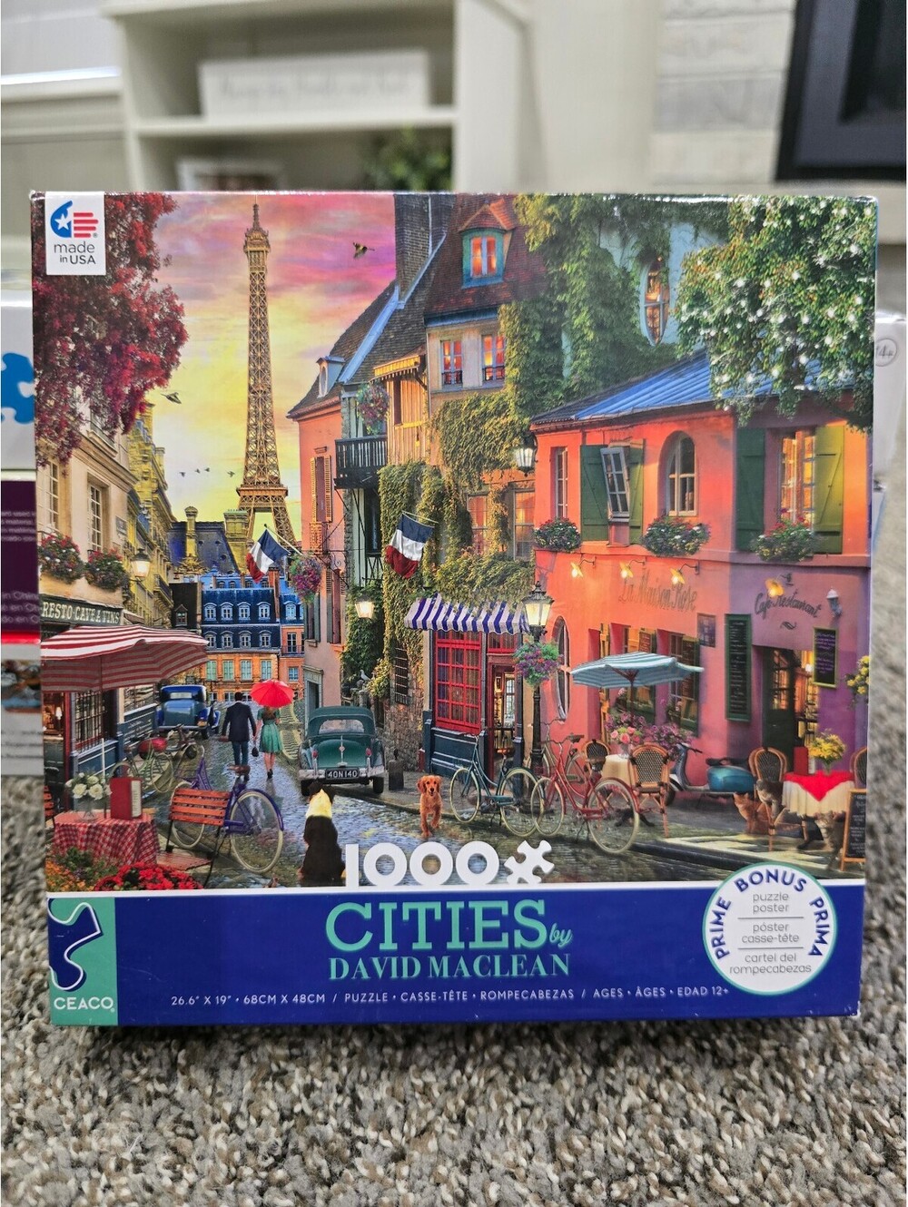 CEACO 1000 Piece Cities Puzzle by David MacLean - Paris Street Scene